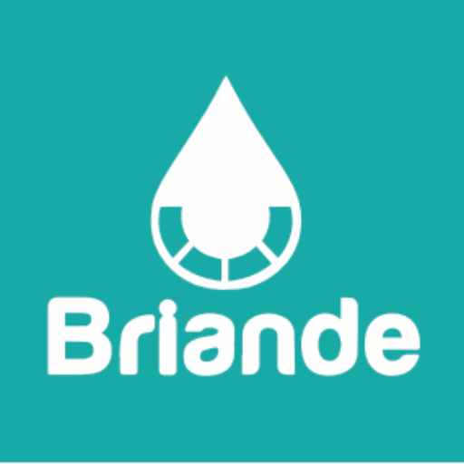 briandeinvestments.com